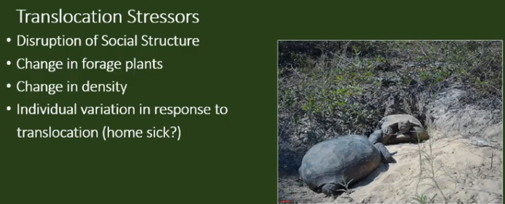 Matt Aresco research slide